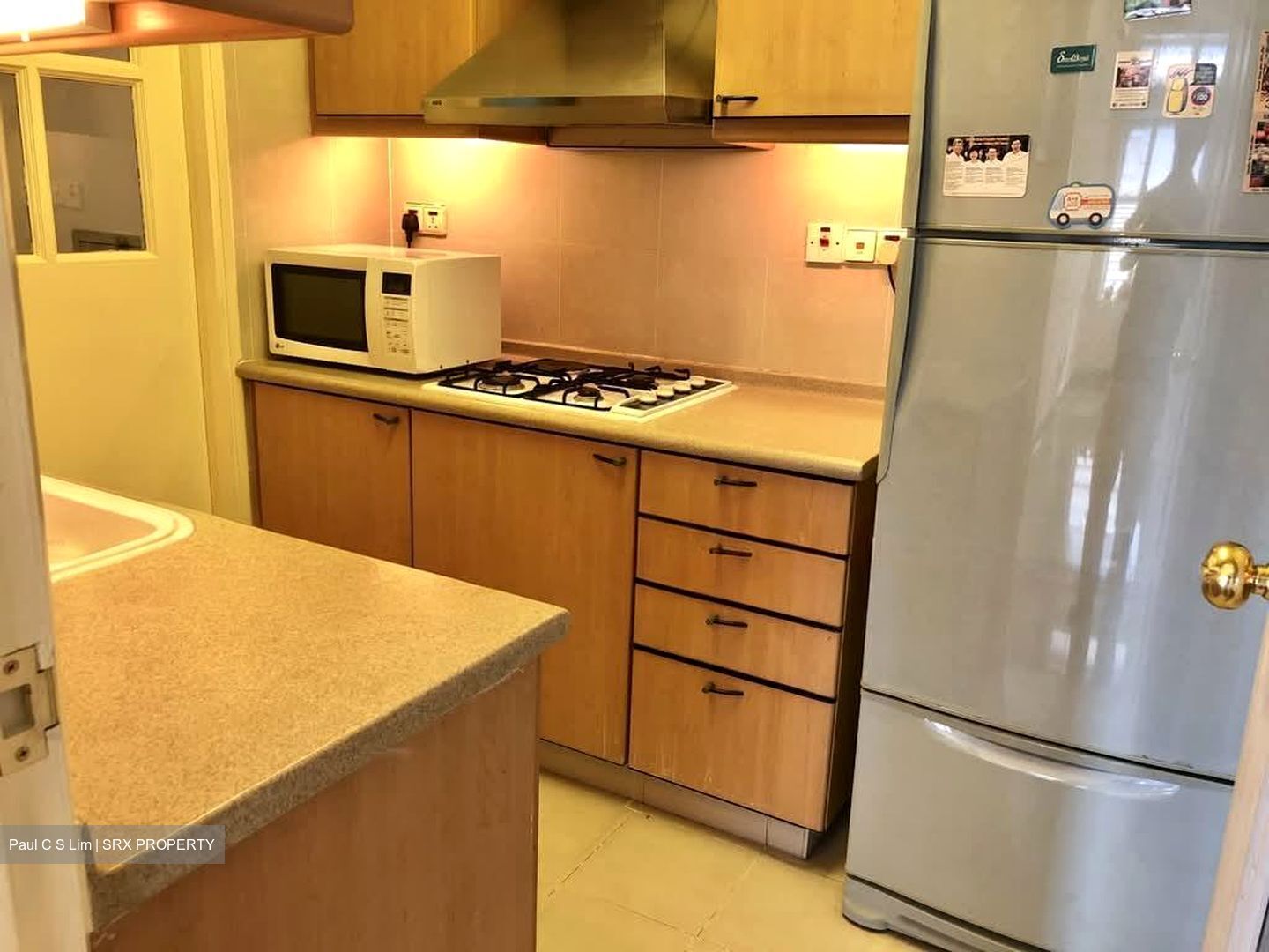 Nineteen Shelford Road (D11), Condominium #534194601